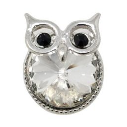 Clear Crystal Owl Treasure Snap