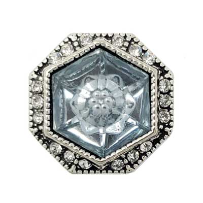 Octagonal Clear Treasure Snap