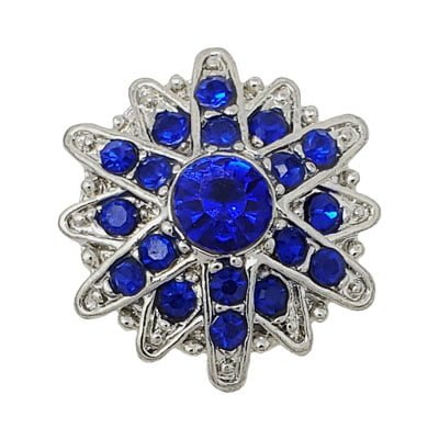 Starry Blue Treasure Snap